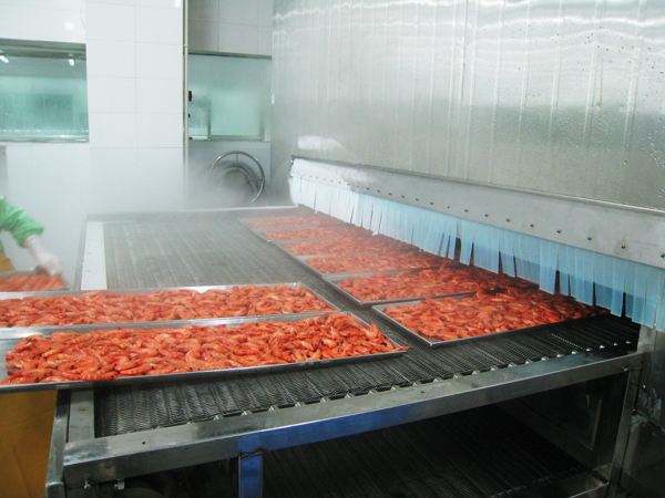 網(wǎng)帶輸送機應(yīng)用